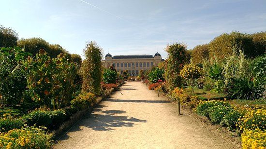 Botanische tuin Jardin des Plantes